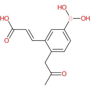 (E)-3-(5-borono-2-(2-oxopropyl)phenyl)acrylic acid