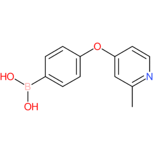 4-(2-methylpyridin-4-yloxy)phenylboronic acid