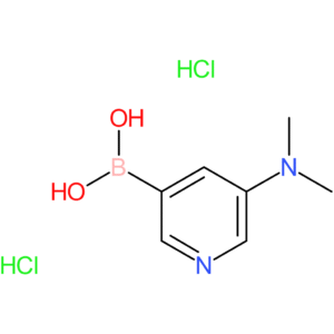 5-(dimethylamino)pyridin-3-ylboronic acid dihydrochloride