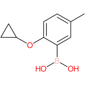 2-cyclopropoxy-5-methylphenylboronic acid
