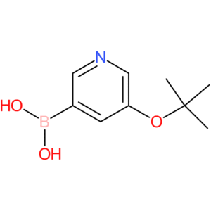 (5-tert-butoxy-3-pyridyl)boronic acid
