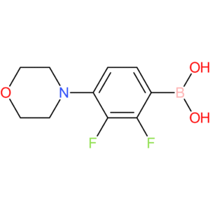 2,3-difluoro-4-morpholinophenylboronic acid