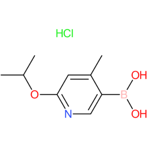 6-isopropoxy-4-methylpyridine-3-boronic acid hcl