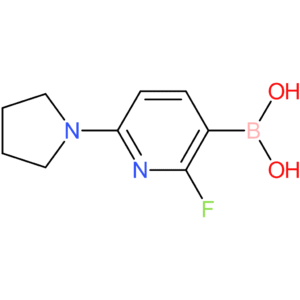 2-fluoro-6-pyrrolidinopyridine-3-boronic acid