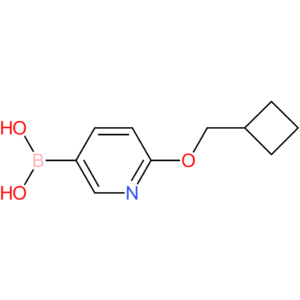 [6-(cyclobutylmethoxy)-3-pyridyl]boronic acid