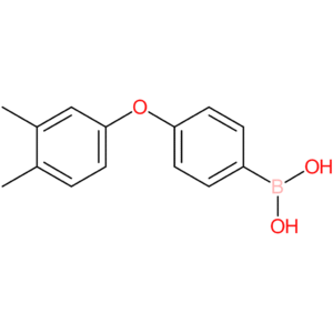 [4-(3,4-dimethylphenoxy)phenyl]boronic acid