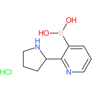 2-pyrrolidin-2-ylpyridine-3-boronic acid, hydrochloride