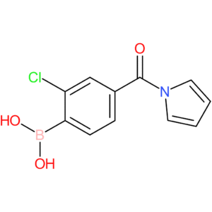 2-chloro-4-(1-pyrrolylcarbonyl)benzeneboronic acid