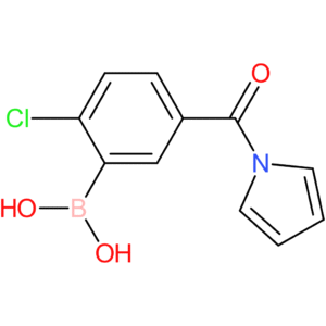2-chloro-5-(1-pyrrolylcarbonyl)benzeneboronic acid