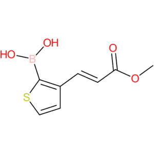 (E)-(3-(3-methoxy-3-oxoprop-1-en-1-yl)thiophen-2-yl)boronic acid