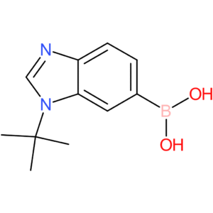 (1-(tert-butyl)-1h-benzo[d]imidazol-6-yl)boronic acid