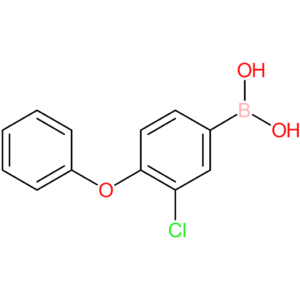 3-chloro-4-phenoxyphenylboronic acid