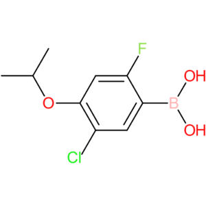 5-chloro-2-fluoro-4-isopropoxyphenylboronic acid