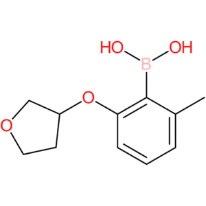 2-methyl-6-(tetrahydrofuran-3-yloxy)phenylboronic acid