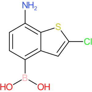 7-amino-2-chlorobenzothiophene-4-boronic acid