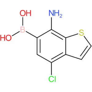 7-amino-4-chlorobenzothiophene-6-boronic acid
