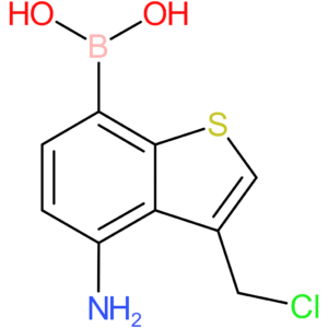 4-amino-3-(chloromethyl)benzothiophene-7-boronic acid