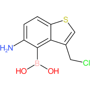 5-amino-3-(chloromethyl)benzothiophene-4-boronic acid