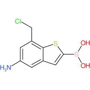 5-amino-7-(chloromethyl)benzothiophene-2-boronic acid
