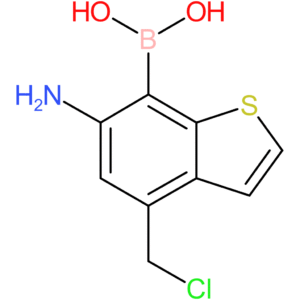 6-amino-4-(chloromethyl)benzothiophene-7-boronic acid