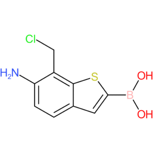 6-amino-7-(chloromethyl)benzothiophene-2-boronic acid