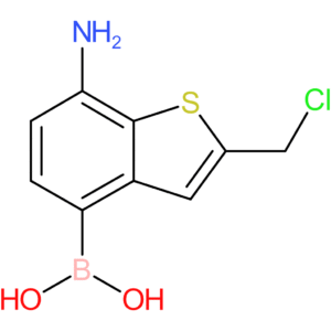 7-amino-2-(chloromethyl)benzothiophene-4-boronic acid