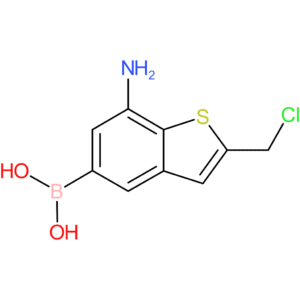 7-amino-2-(chloromethyl)benzothiophene-5-boronic acid