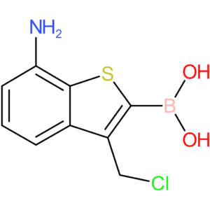 7-amino-3-(chloromethyl)benzothiophene-2-boronic acid