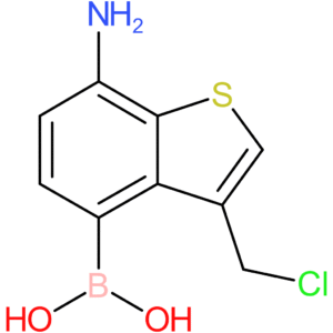 7-amino-3-(chloromethyl)benzothiophene-4-boronic acid