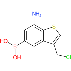 7-amino-3-(chloromethyl)benzothiophene-5-boronic acid