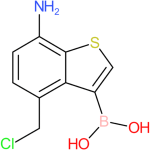 7-amino-4-(chloromethyl)benzothiophene-3-boronic acid