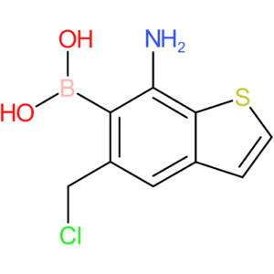 7-amino-5-(chloromethyl)benzothiophene-6-boronic acid