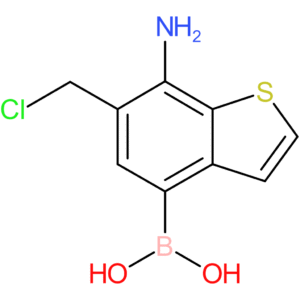 7-amino-6-(chloromethyl)benzothiophene-4-boronic acid