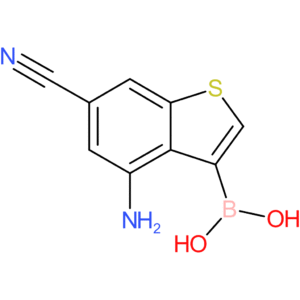 4-amino-6-cyanobenzothiophene-3-boronic acid