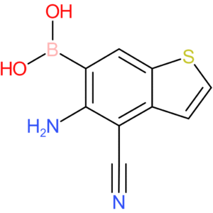 5-amino-4-cyanobenzothiophene-6-boronic acid