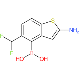 2-amino-5-(difluoromethyl)benzothiophene-4-boronic acid