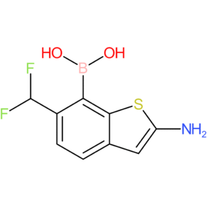 2-amino-6-(difluoromethyl)benzothiophene-7-boronic acid