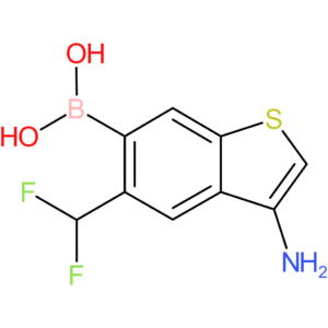 3-amino-5-(difluoromethyl)benzothiophene-6-boronic acid