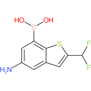 5-amino-2-(difluoromethyl)benzothiophene-7-boronic acid