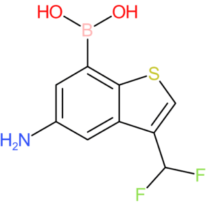5-amino-3-(difluoromethyl)benzothiophene-7-boronic acid