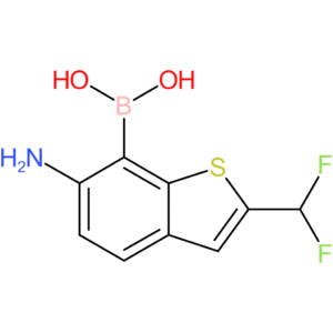 6-amino-2-(difluoromethyl)benzothiophene-7-boronic acid