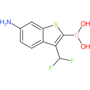 6-amino-3-(difluoromethyl)benzothiophene-2-boronic acid
