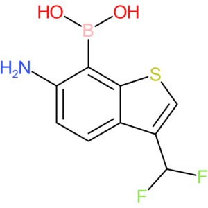 6-amino-3-(difluoromethyl)benzothiophene-7-boronic acid