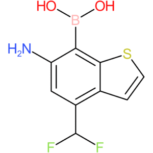6-amino-4-(difluoromethyl)benzothiophene-7-boronic acid