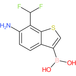 6-amino-7-(difluoromethyl)benzothiophene-3-boronic acid