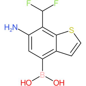 6-amino-7-(difluoromethyl)benzothiophene-4-boronic acid