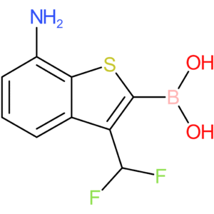 7-amino-3-(difluoromethyl)benzothiophene-2-boronic acid