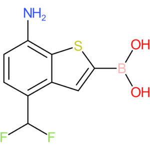 7-amino-4-(difluoromethyl)benzothiophene-2-boronic acid