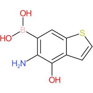 (5-amino-4-hydroxy-1-benzothiophen-6-yl)boronic acid