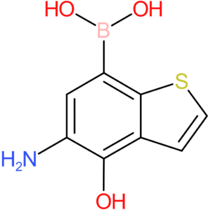 5-amino-4-hydroxybenzothiophene-7-boronic acid